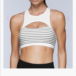Pushing limits sports bra
